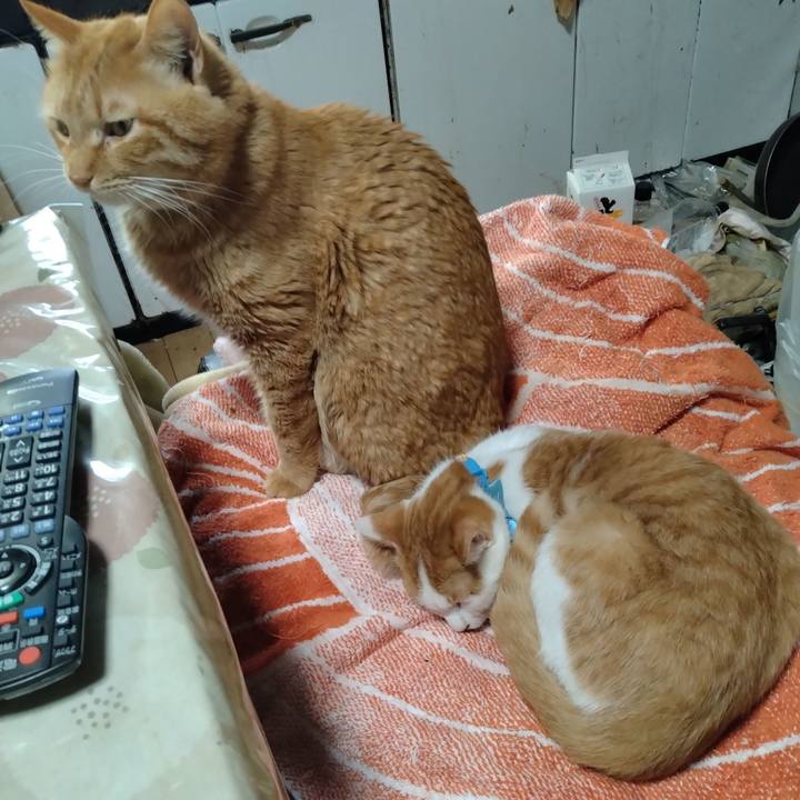 00b30164 5923 41a8 9379 e0a7b780fcc3 1738133767401