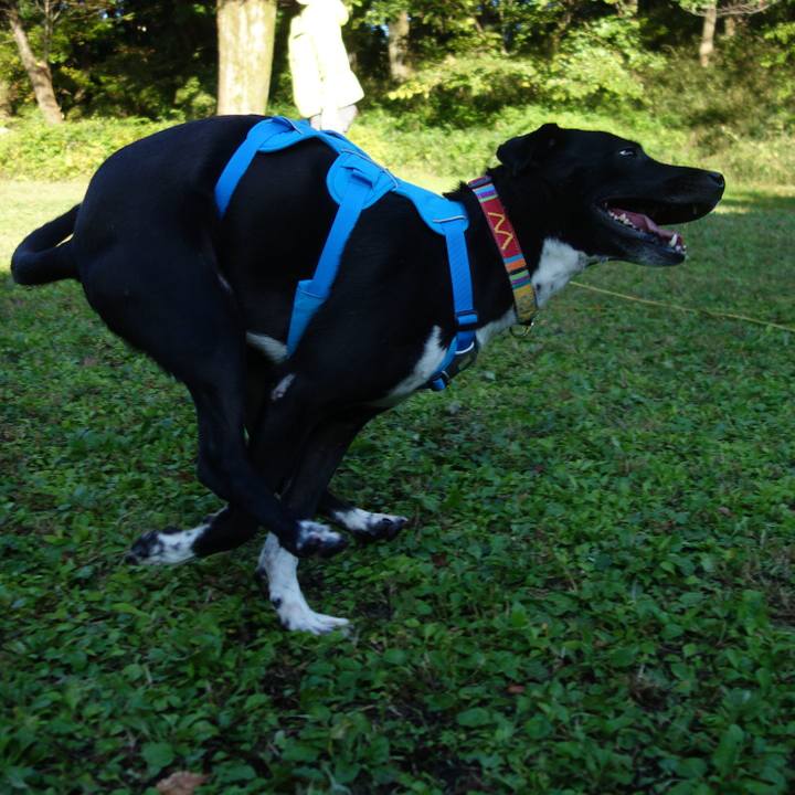 00b3155c 6c8d 4528 b5ce 3cce2ad78d71 1604533511364