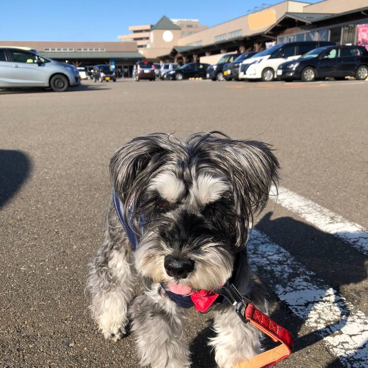 00b31e8e 6783 4b54 a2e3 62e9142b705b 1703927086990