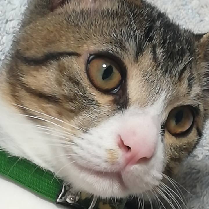 00b34da7 fb4d 4dc2 9314 a7daf8e4d0af 1662159682100