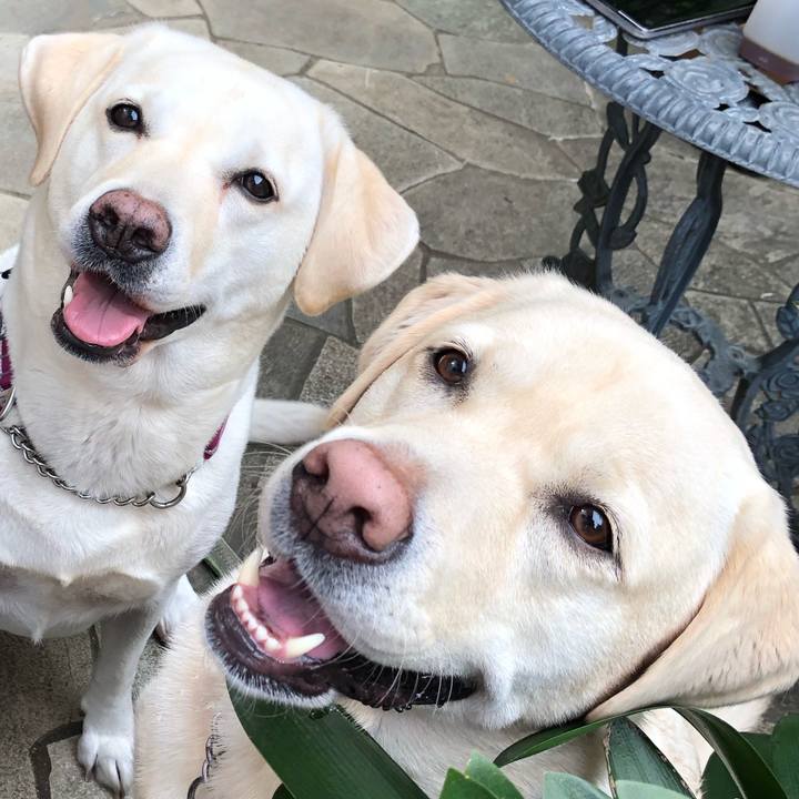 00b363bb b5cc 4d31 b42d 8314aa9a39c7 1603855054969