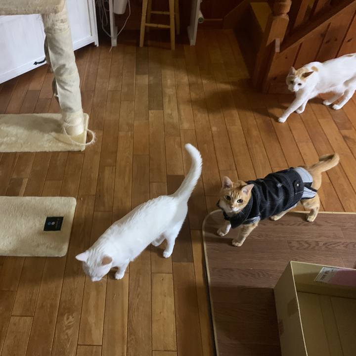 00b368f6 5f40 43a1 b1a6 f26bdef83885 1653751589753