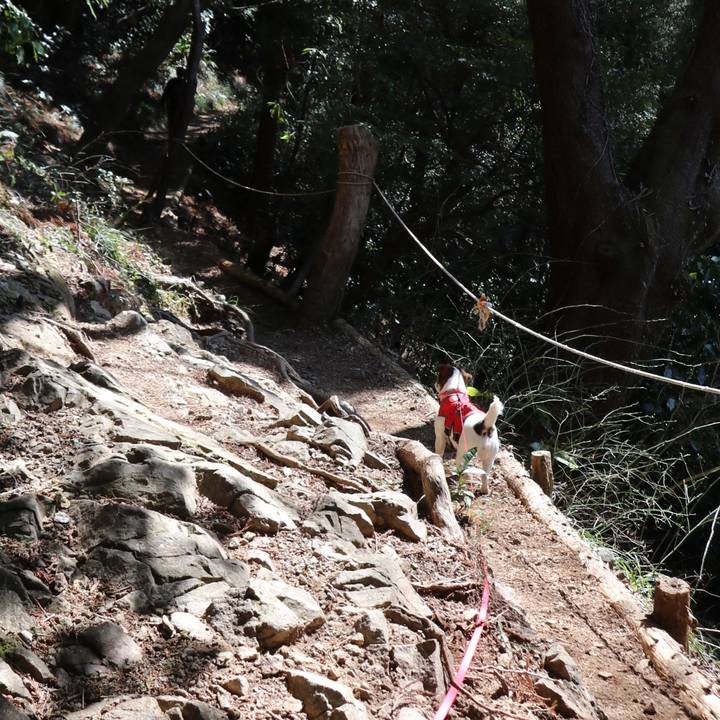 00b36b72 932c 481a b57b 665fed04aec5 1520055375761