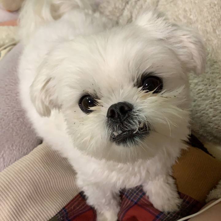 00b36f58 7ef7 428c 9035 e4d36daa6e8a 1641477859707