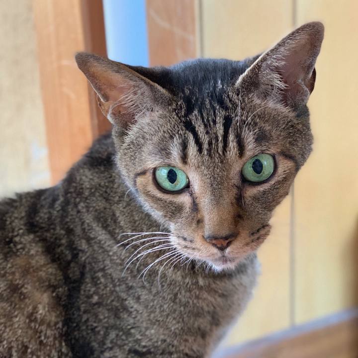 00b384e2 6fe6 4535 b15c 8a80ab6e70f5 1565571396785