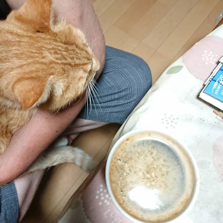 00b38a1c 994e 46e8 8148 7ca39a94663b 1599336516870