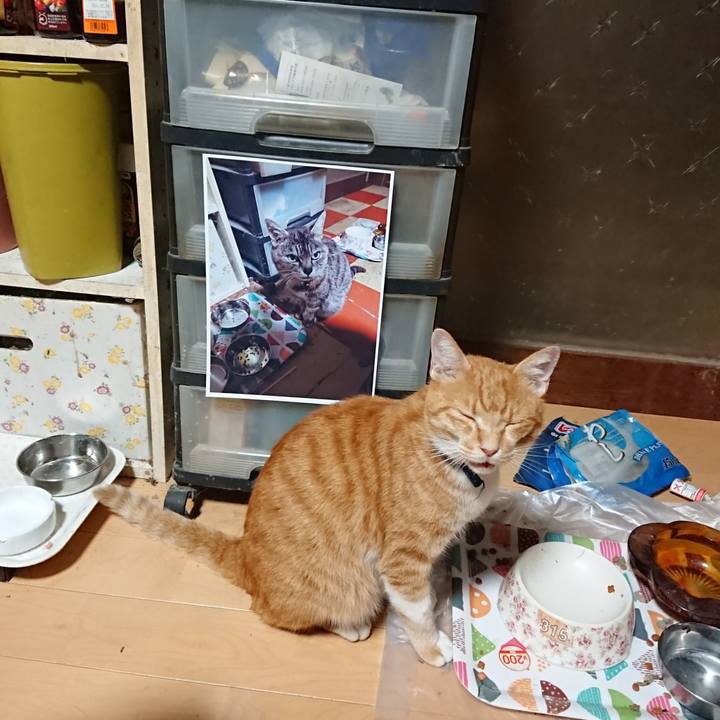 00b39c39 31c4 4443 89bf 44f959e8db57 1599508691167