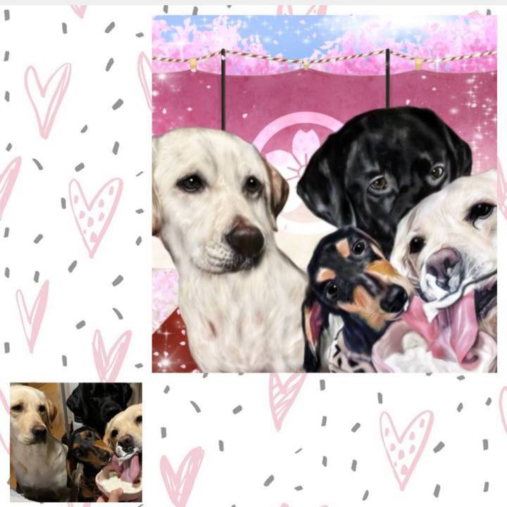 00b3dad9 9442 451e b12f b3bad61e05c8 1651032203998