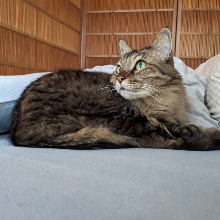 00b3f487 f4a8 4354 bcb2 16ea599c94bc 1763074941273