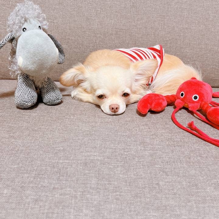 00b3f801 1496 4da4 abc9 c8205e5d6907 1664192300303