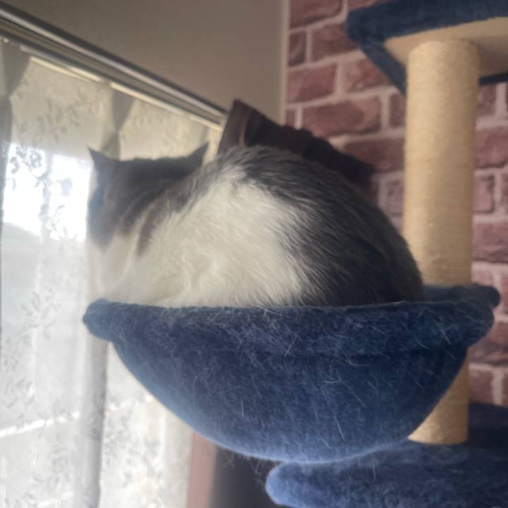 00b3fbfd a8a8 4f35 b314 8297f8e80b86 1646866087728