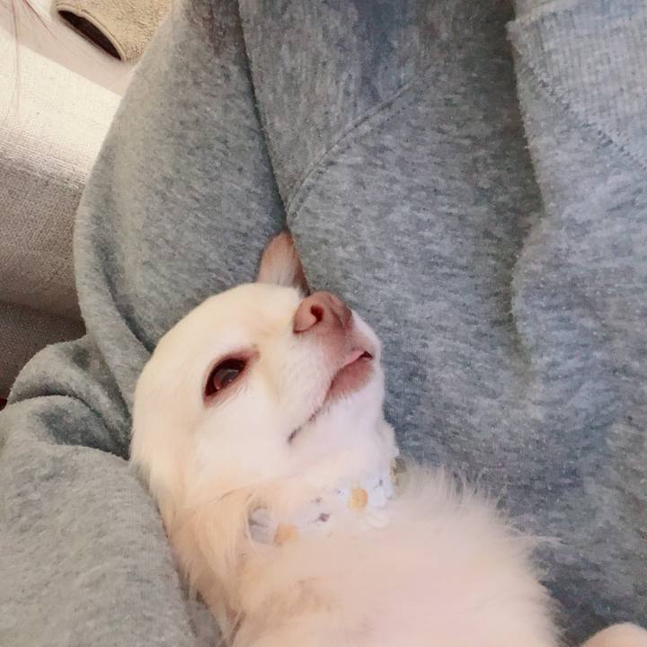 00b42a16 33cd 49c8 9bc8 8edf2f530207 1712061964450