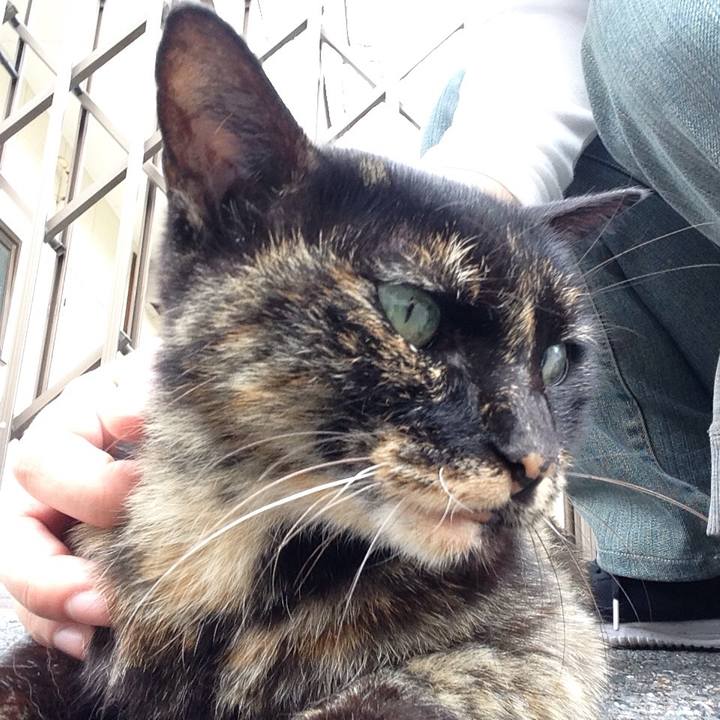 00b42e7a 6ad4 44cb 941c eaa07bd282e2 1510574374460