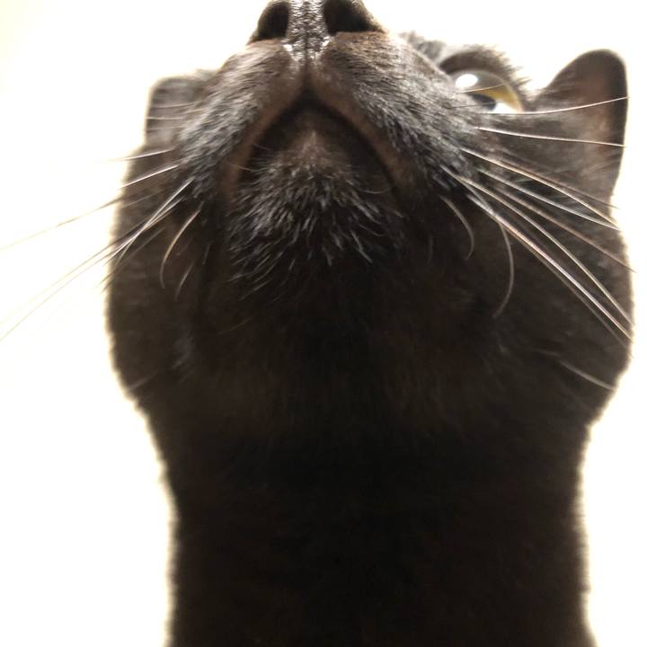 00b43b1f fc3f 41e6 97c4 69869e8f637a 1599137259091