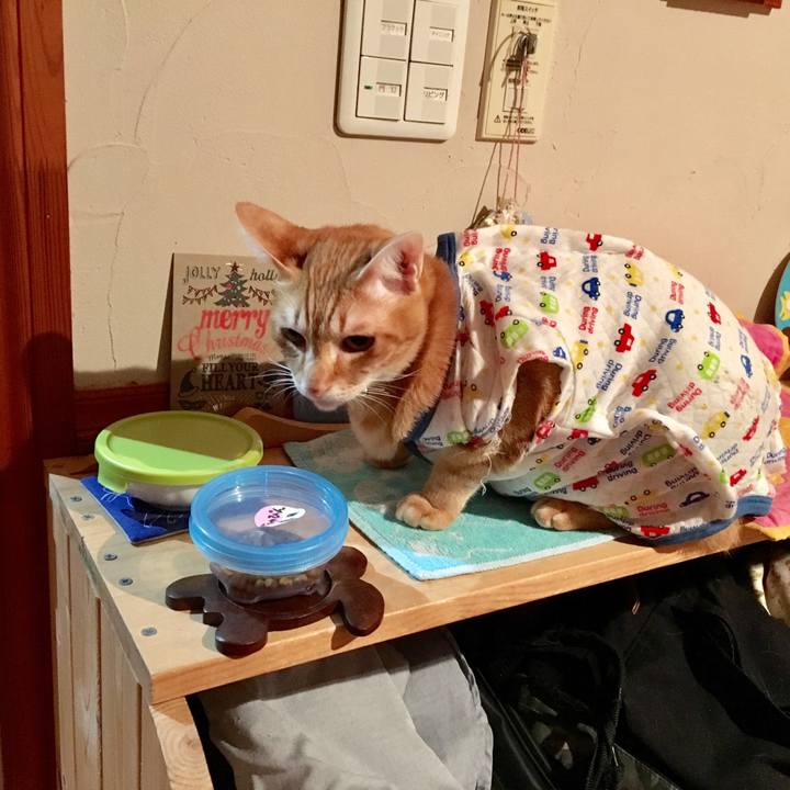 00b468ad 6750 47fb 8d73 4f1477687bdd 1514000127665