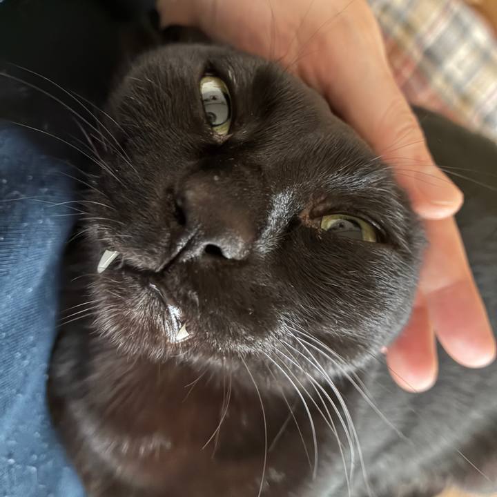 00b48192 0937 4974 b33a ba0b5e3b149a 1763418307267