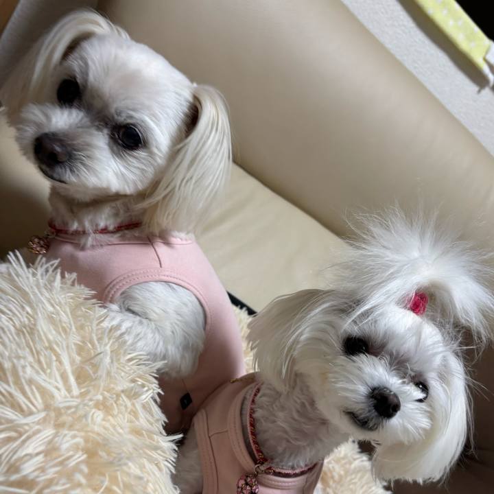 00b489a4 c26a 4064 b0d2 e57bff3f8879 1748945731238