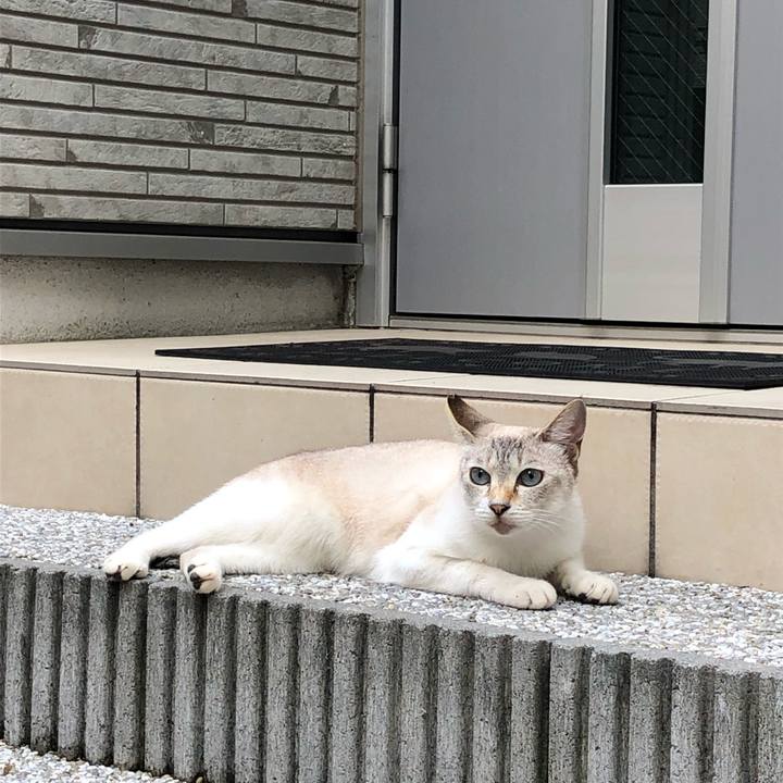 00b495ab f2cd 491a b624 63877b013b91 1564046436354