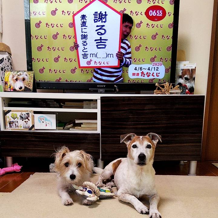 00b4c965 fda7 4626 b508 169c614712ff 1586124695873