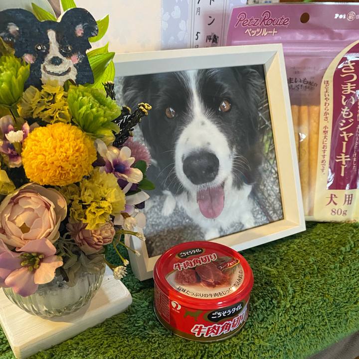 00b4ecbf 6fe9 4df6 b939 6020a5d05588 1720915640904