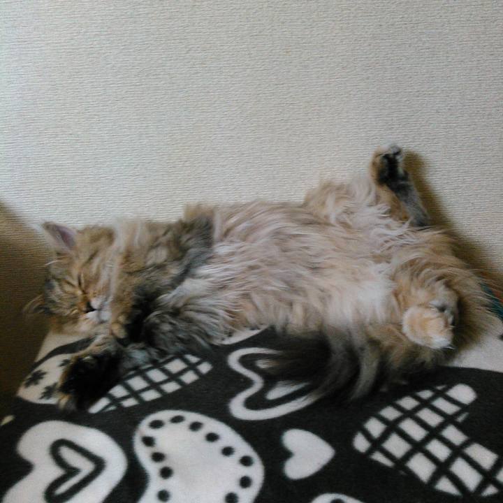 00b50d56 6c9d 4abe 9d01 b813daafc8fe 1596588287101