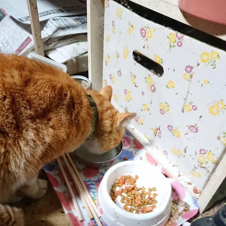 00b54aa3 1fa4 47ef bd3d ab7666e1af70 1584908535536