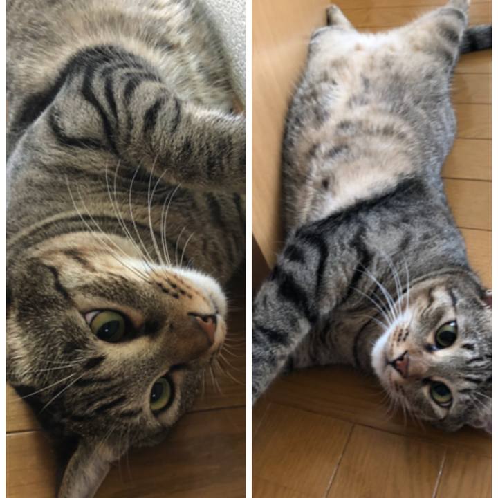 00b5c59b 6935 4825 9243 68bc99b3c3f6 1565049831826