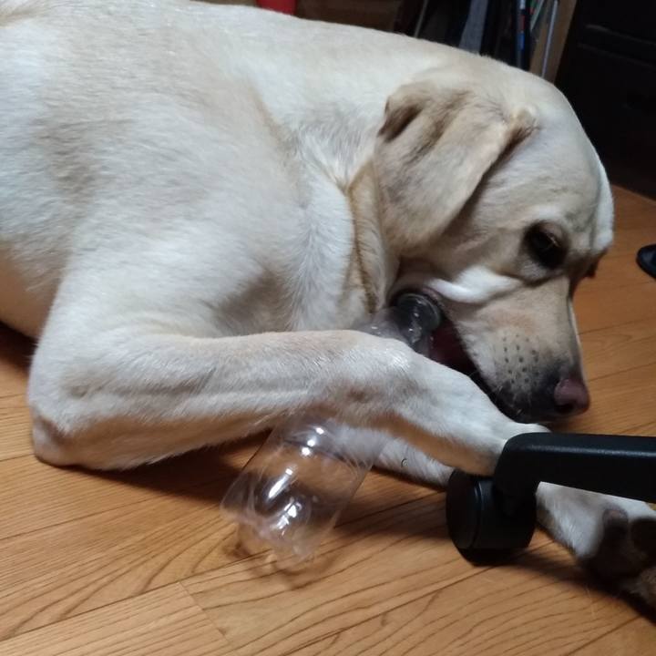 00b60efc 1ee1 4cae 8fe6 79285dd22130 1538575006988