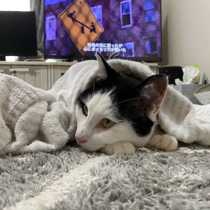 00b61faf 1273 4670 ad1f 8e47eddef242 1601171073347