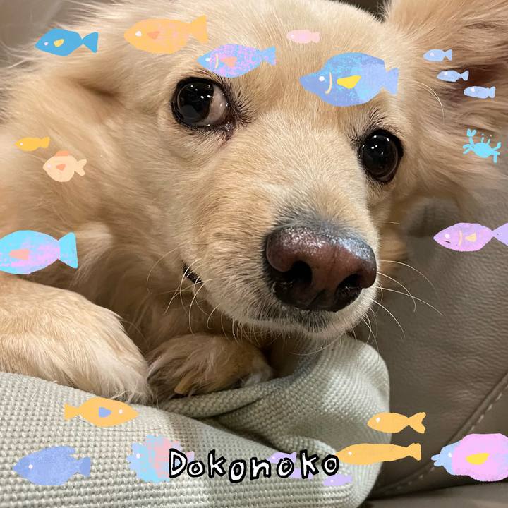 00b6240c 863d 4968 a6bc 2056f7936ca3 1755507290219