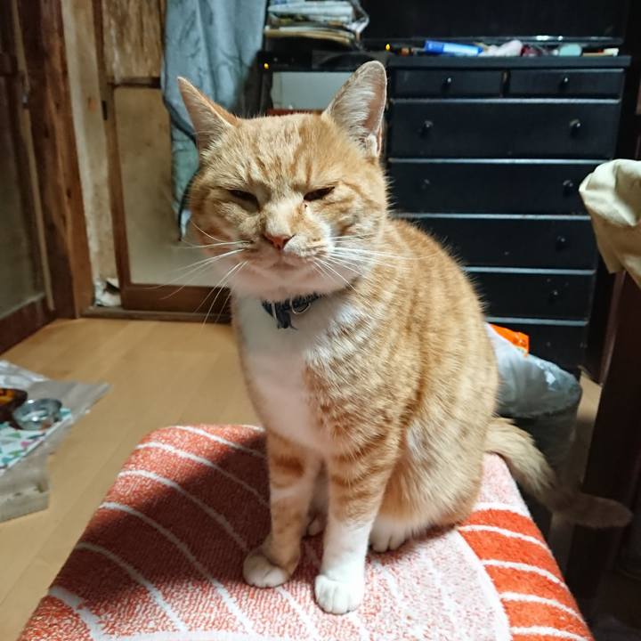 00b62bb7 634b 4e63 8870 4790d0300af5 1606333783957