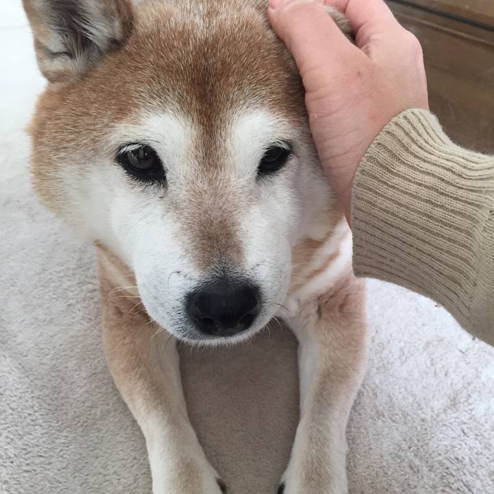 00b630a7 3aeb 4ee6 9ca0 71864861323b 1550387592275