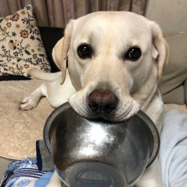 00b63233 2d40 451b 8a74 c7c365ac4c9a 1570373189549