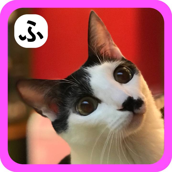 00b657ff 72e8 45d3 9134 e02770d12ee0 1514905503216