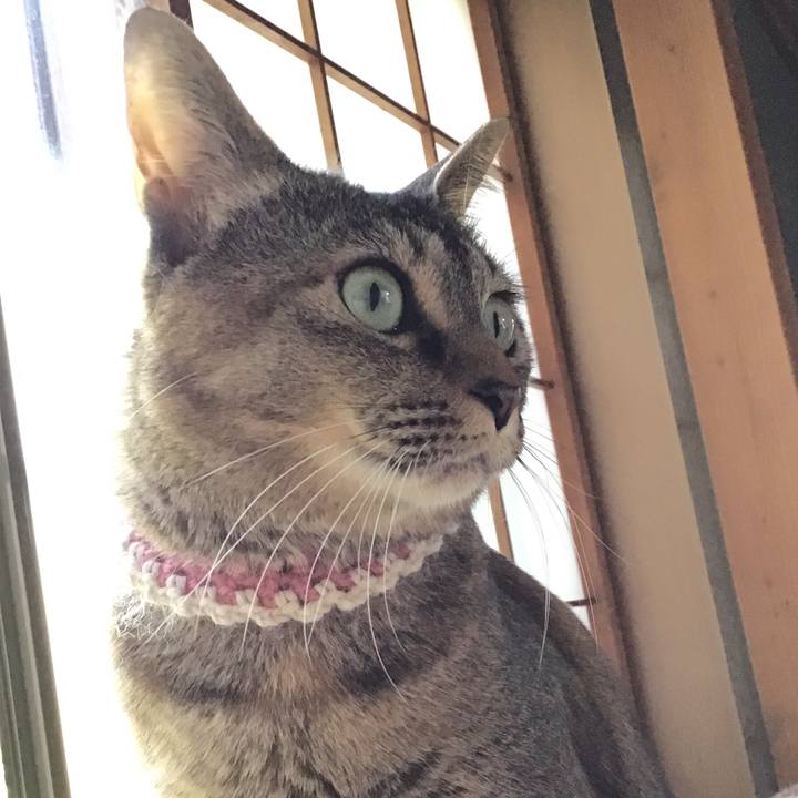 00b67080 0600 4586 9bb5 e4174ffc5573 1650615026467