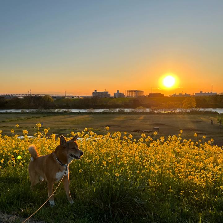 00b6b74a 7450 4193 916c dc0aaeccef6f 1679237792483