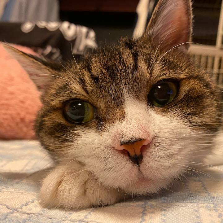 00b6c08f 1398 45b7 94c8 4ed14687e8f3 1626880278161