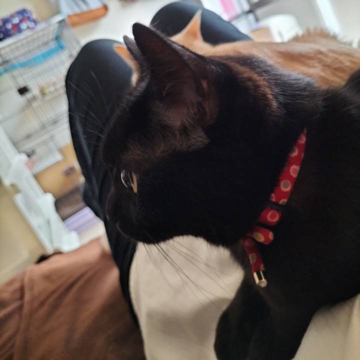 00b6c494 5815 4935 b9ea fe52163df8b1 1657578876789