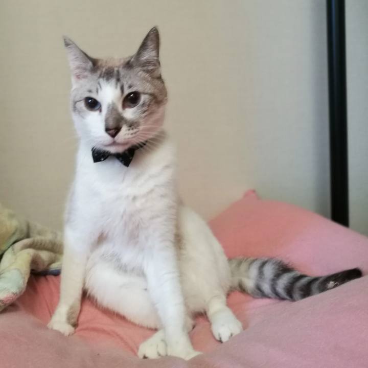 00b6ed89 9b05 4133 8c8d 3f6653aac0b3 1520330733007