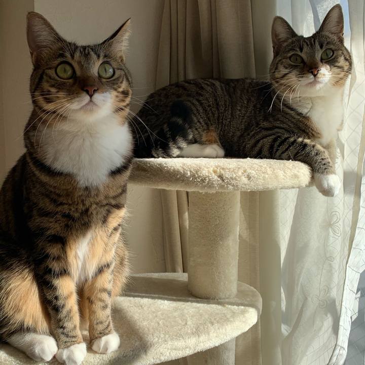 00b71b9f 947d 47cd 94ff ab552c7d492c 1546474781317