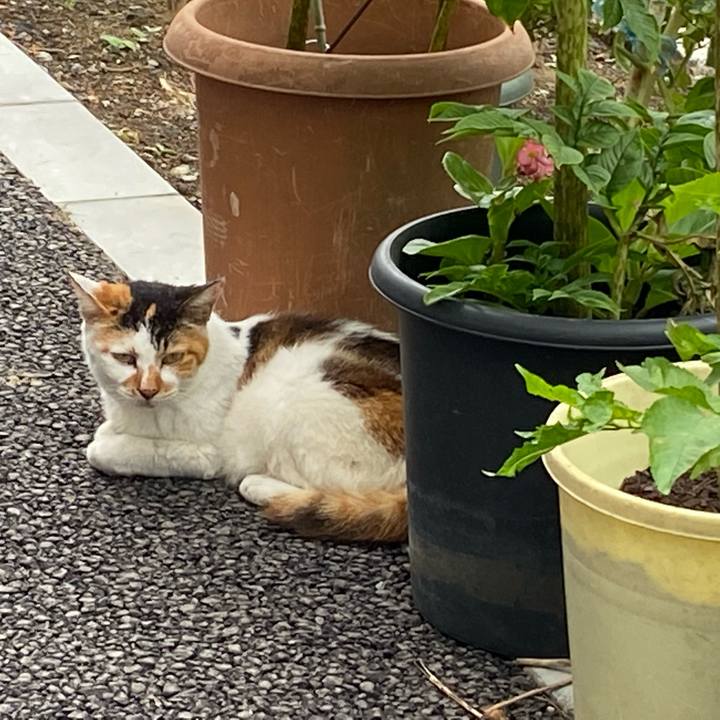 00b71c04 c8f4 4f73 b4f1 525b8b65bdbc 1662814227880