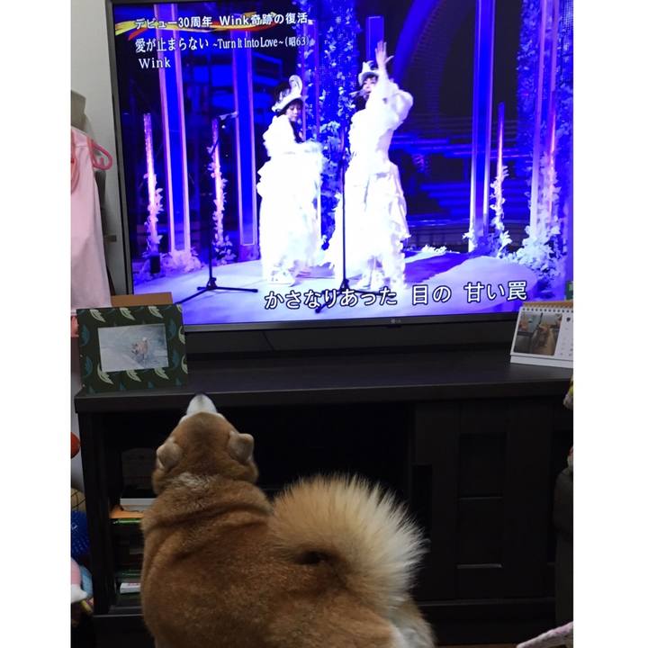 00b7215e 813d 45bb 93a8 fa0760f62944 1534596976539