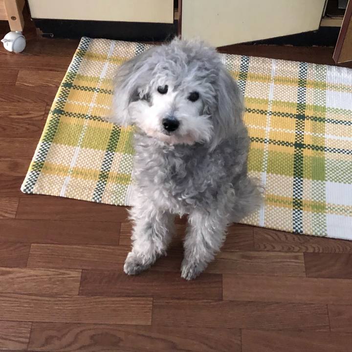 00b74fb9 f244 4205 8ef2 a34aa36aed67 1521415723652