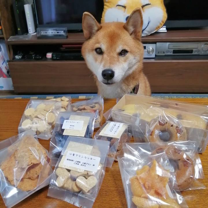 00b76473 8561 4612 a7d7 97caf0654884 1601515119857