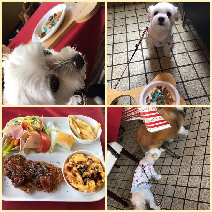 00b764ac d1f1 47ea 86ca 8aad848906d5 1566016530486