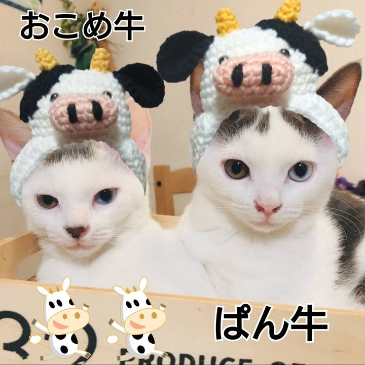 00b78d87 b8eb 4c92 a4c3 e3b5e7956f96 1609694753818