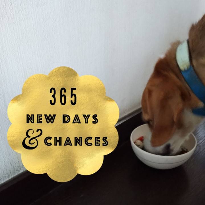 00b796b2 3d8d 4cf1 9f7f 853bc33b00c1 1616139577314