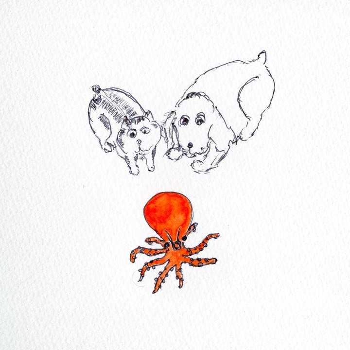 00b7a76e 87df 49f4 bca2 80e0871114d0 1598089999735