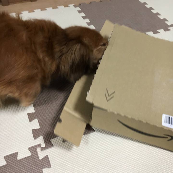 00b7afe9 ffa9 4012 8bcc 8d48b78faa8b 1567780362482