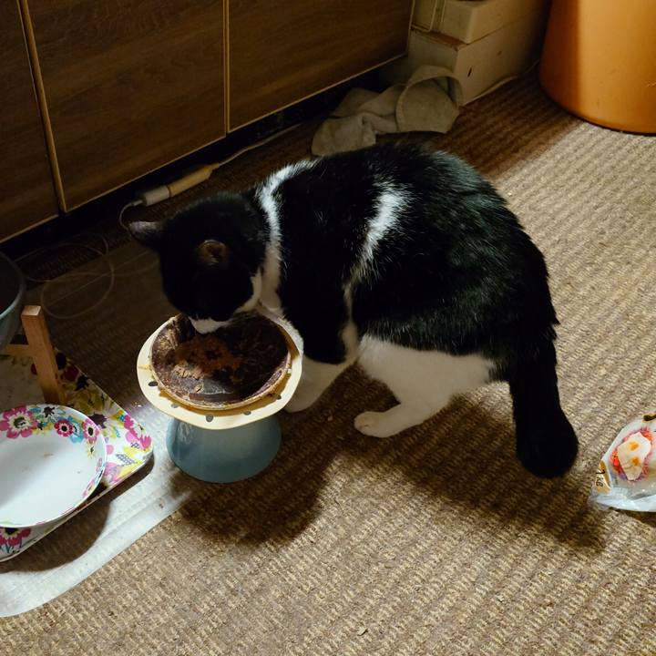 00b7b023 a0e3 442b b556 92d255908baf 1766397563017